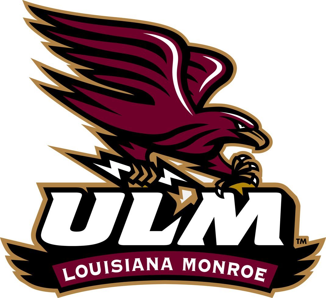 Louisiana-Monroe Warhawks 2006-2010 Alternate Logo 02 iron on paper